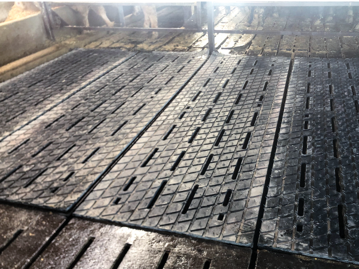 Agri-DiamondSlat_Beef_Install2_LR